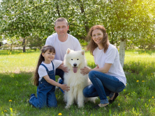 Family portrait in park with pet dog Family portrait in park with pet dog
